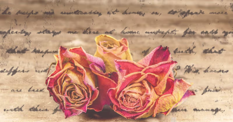 Cover image for Romanticism: A Journey to the Romantic Period