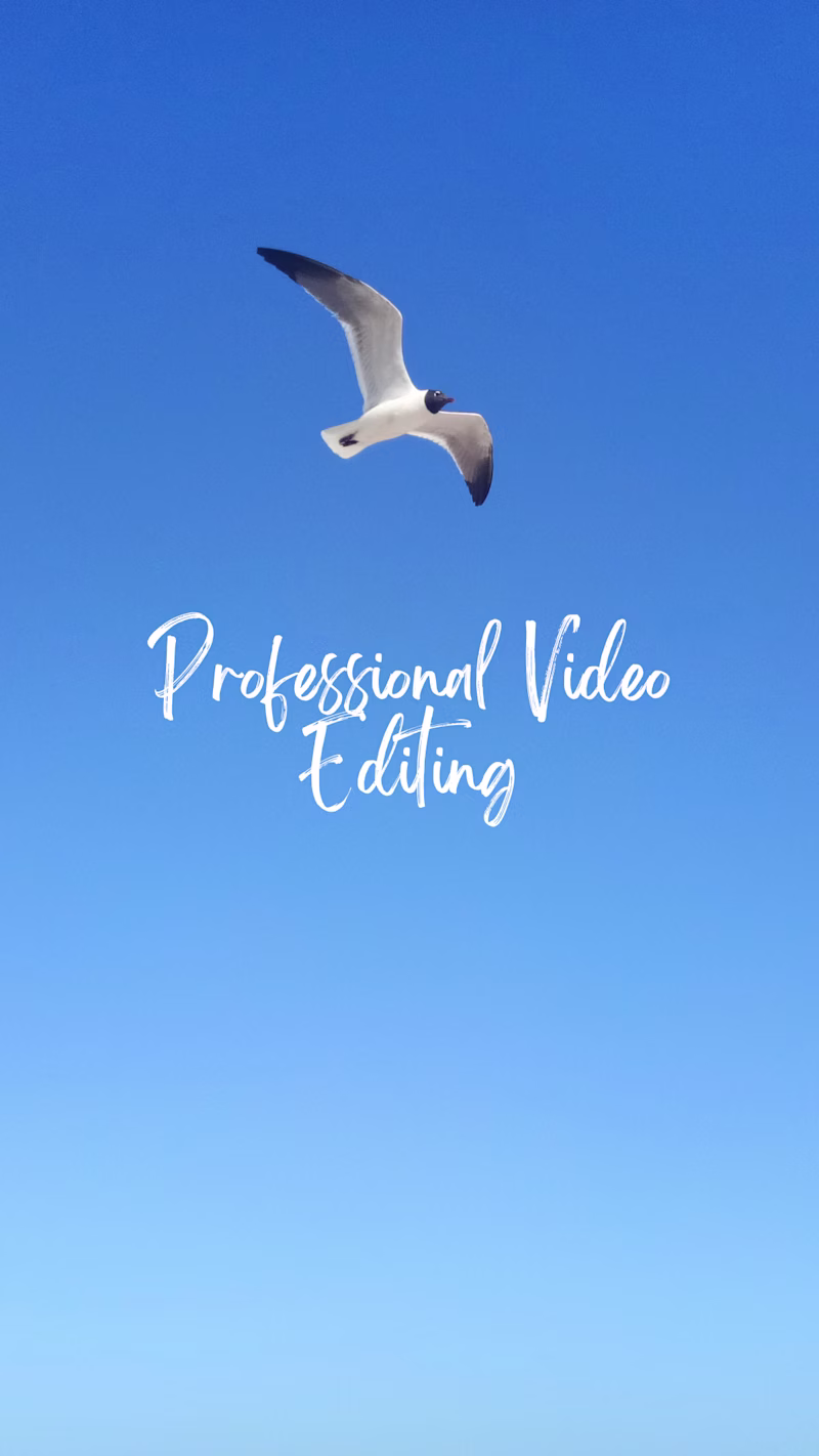 Cover image for videos editor