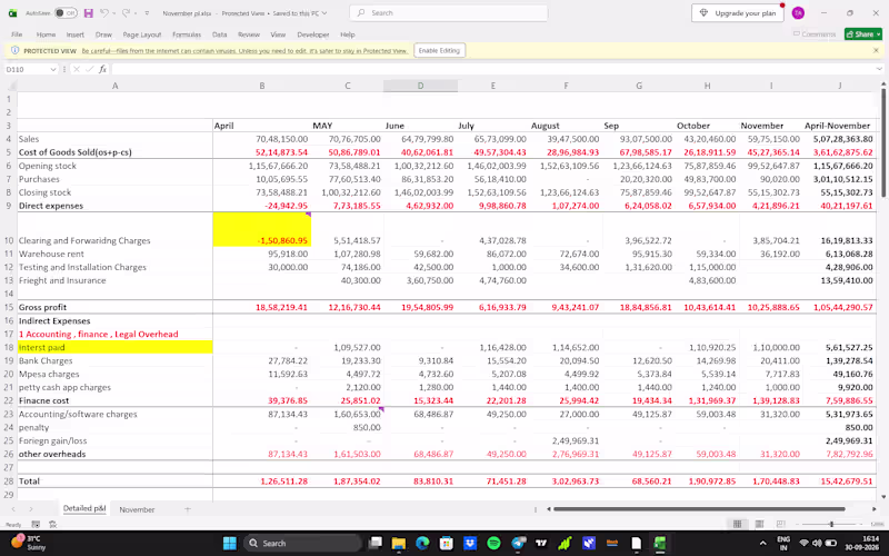 Cover image for Comprehensive P&L & Financial Statement Analysis