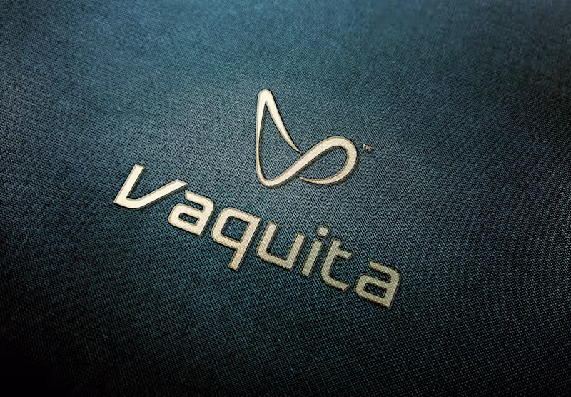 Cover image for Logo Design & Brand Identity