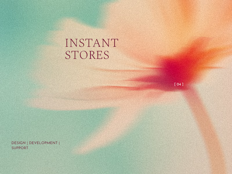 Cover image for Instant Stores