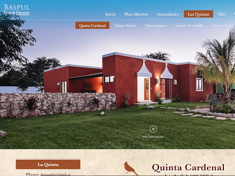 Cover image for WordPress Website