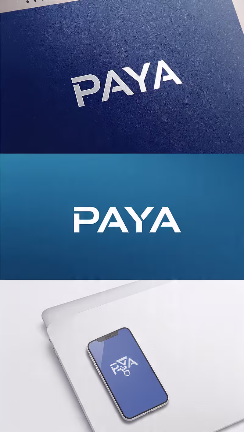 Cover image for Project: PAYA Brand Identity &