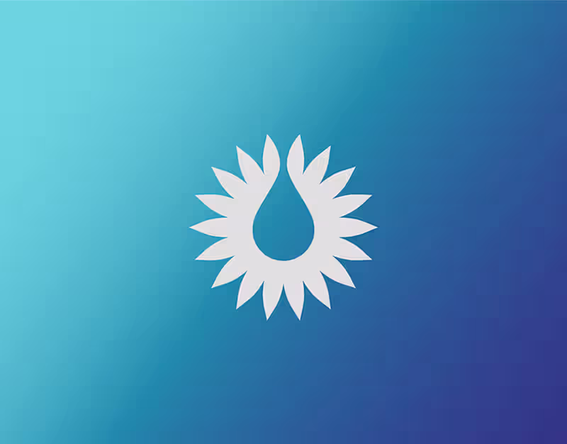 Cover image for Kaashmeen Oil and Gas