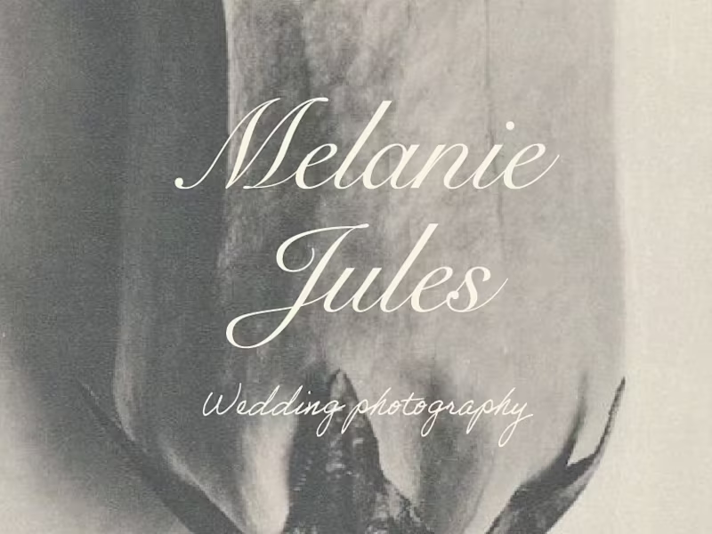 Cover image for Branding design for a wedding
