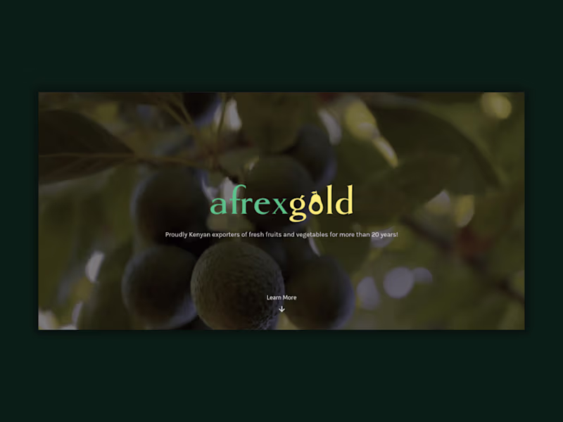 Cover image for Afrex Gold Limited
