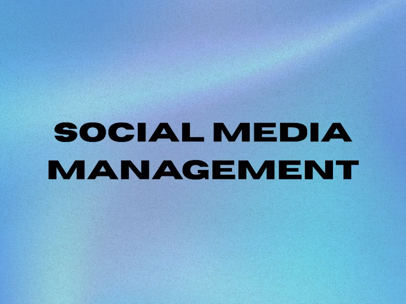Cover image for Social Media Management
