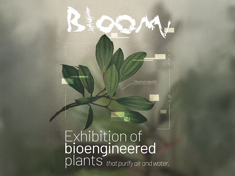Cover image for Bloom — Exhibition Visual Identity