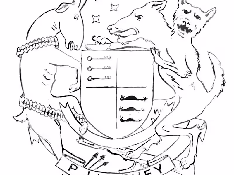 Cover image for The Hope Six Demolition Project