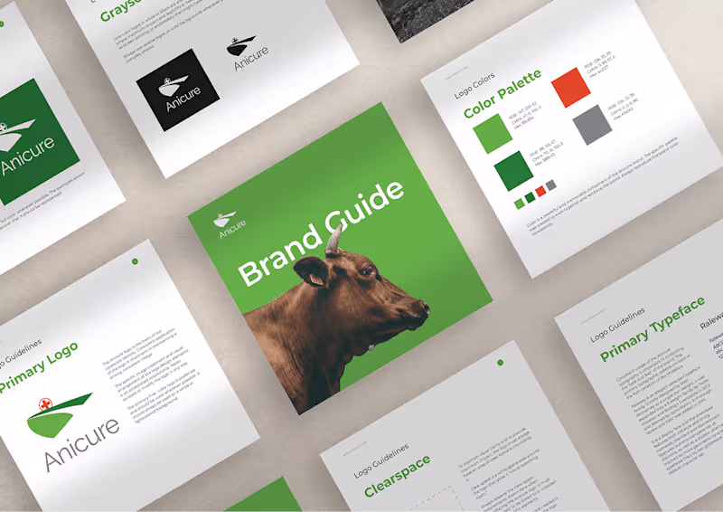 Cover image for Brand Guides & Logo Designs | Brand Strategy