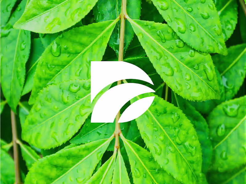 Cover image for Datura — where nature meets