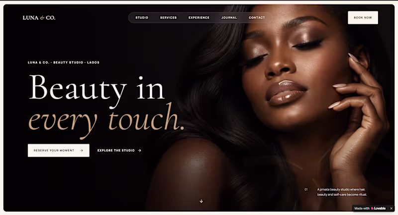 Cover image for Luna & Co. is a