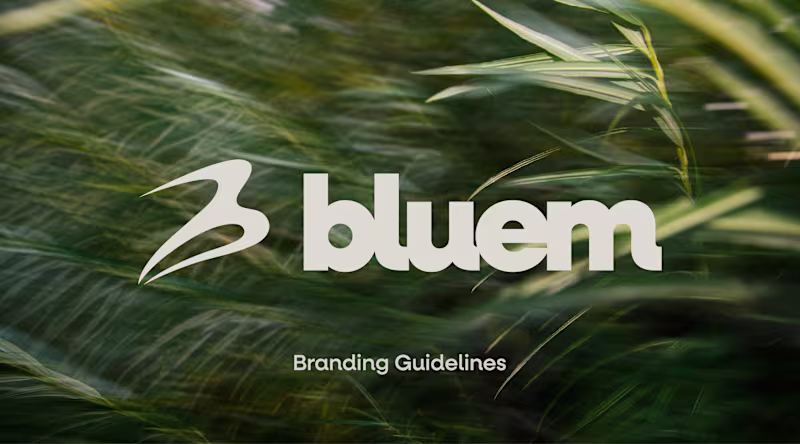 Cover image for Bluem Studios Brand Guidelines