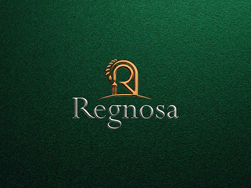 Cover image for Regnosa Brand Identity