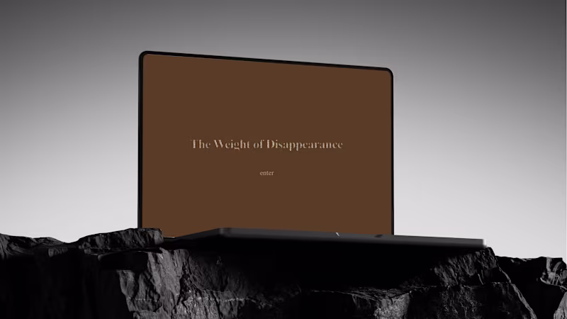 Cover image for The Weight of Disappearance