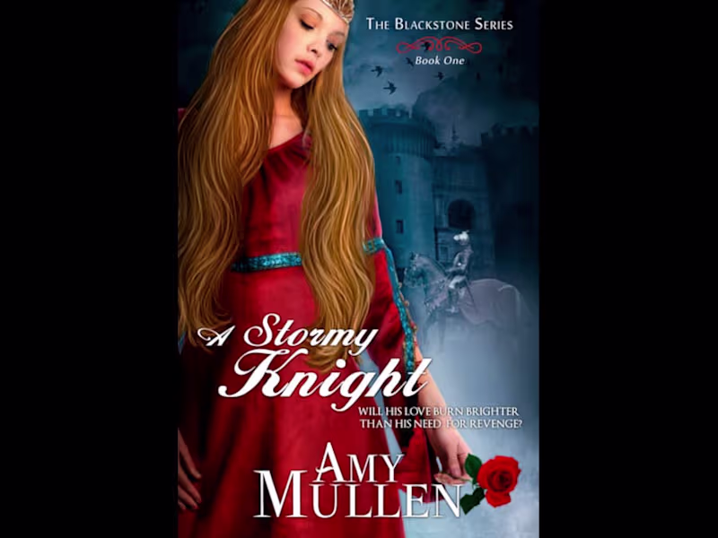 Cover image for A Stormy Knight