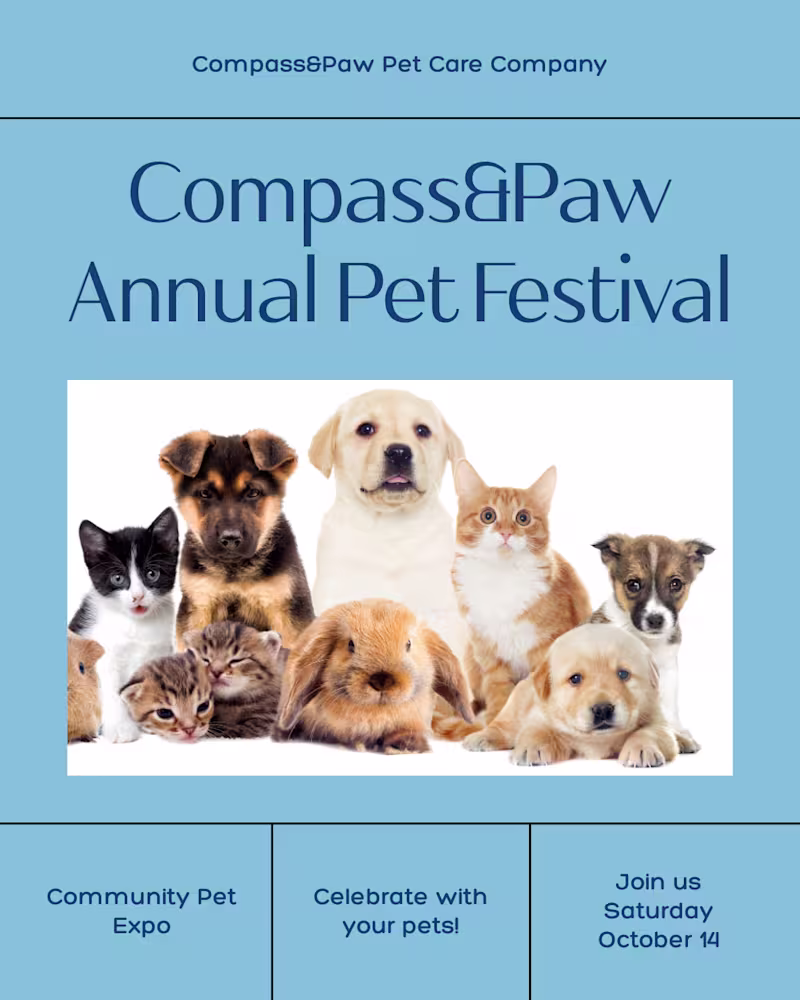 Cover image for Social Media Content Strategy for Compass & Paw