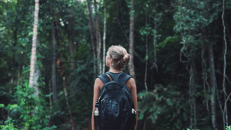 Cover image for Content Creation 