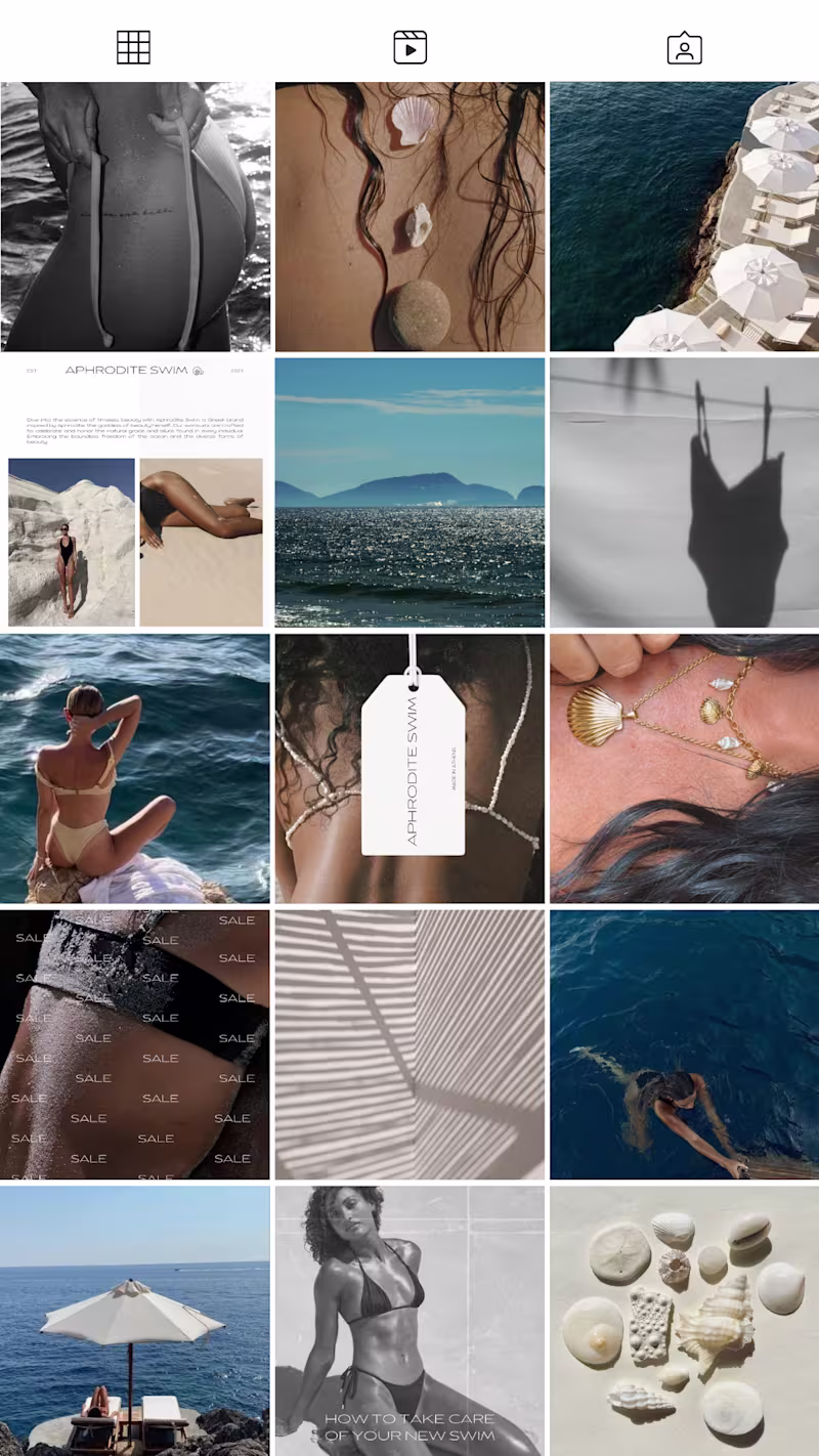 Cover image for Swim Brand