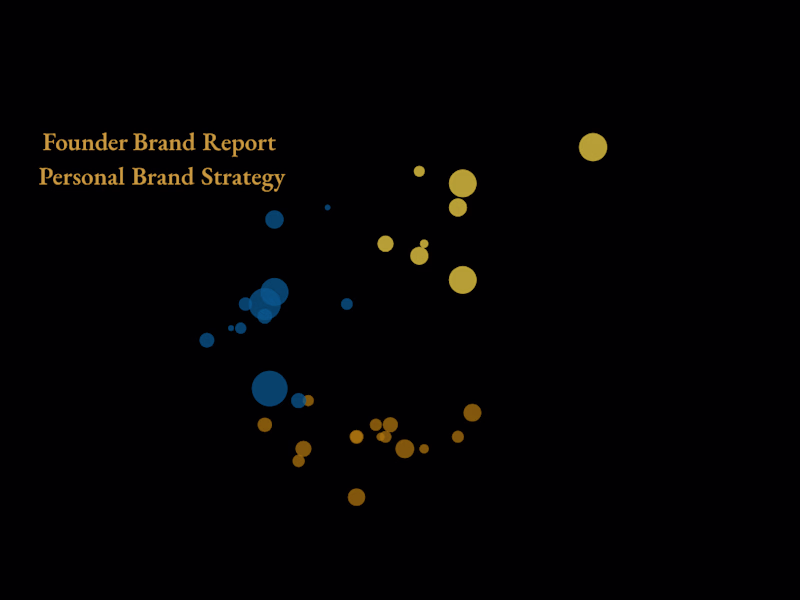 Cover image for Founder Brand Report | Personal Brand Strategy