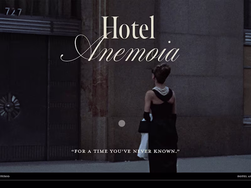 Cover image for Hotel Anemoia Brand