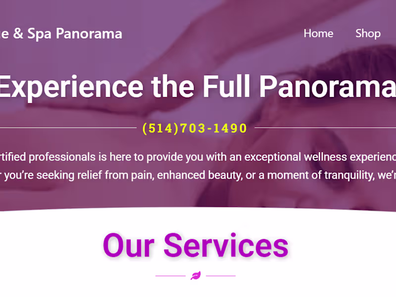 Cover image for A WordPress Website for a SPA