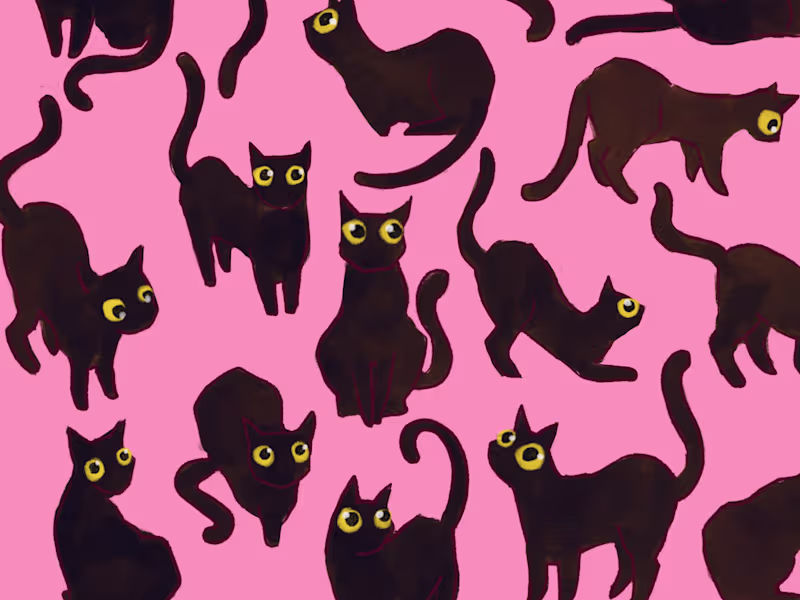 Cover image for Pia on Instagram: ”💗🐈⬛💗🐈⬛💗🐈⬛💗 for all Brooklyn roofto…