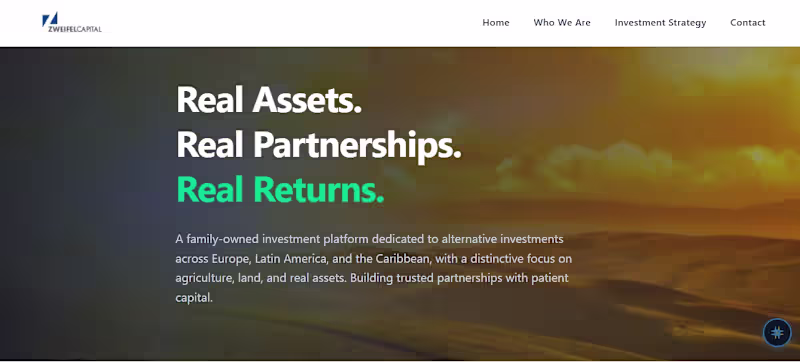 Cover image for Zweifel Capital is a financial