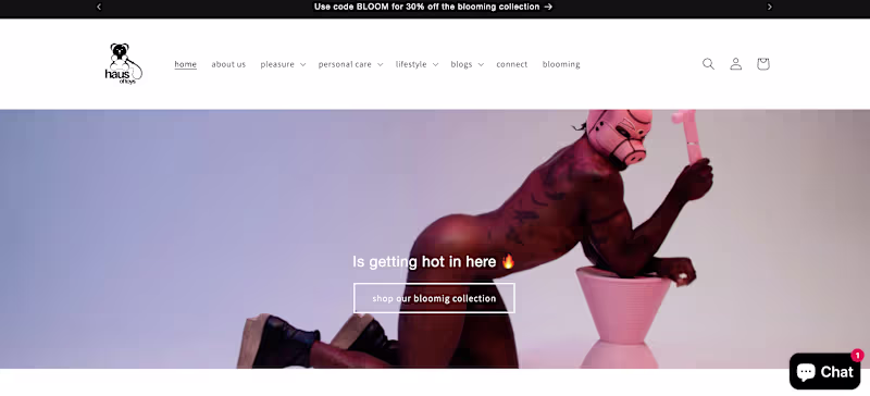 Cover image for Adult Novelty Shopify Store -