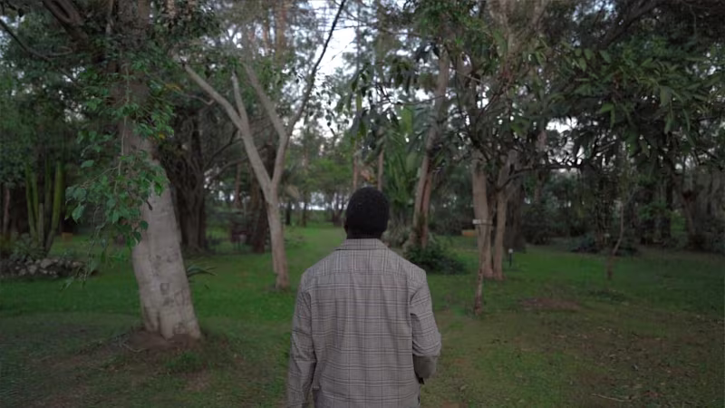 Cover image for Film/Video Production