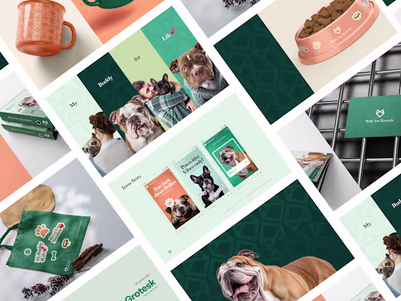 Cover image for Brand Identity Design done for an Australian client