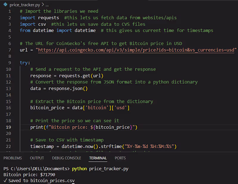 Cover image for What it does: A Python