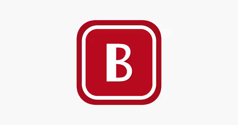 Cover image for BAYSTEN Mobile Platform Development