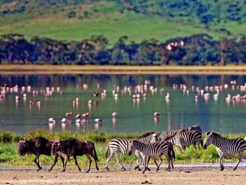 Cover image for THE PSYCHOLOGY OF TRAVEL AND TOURISM IN KENYA