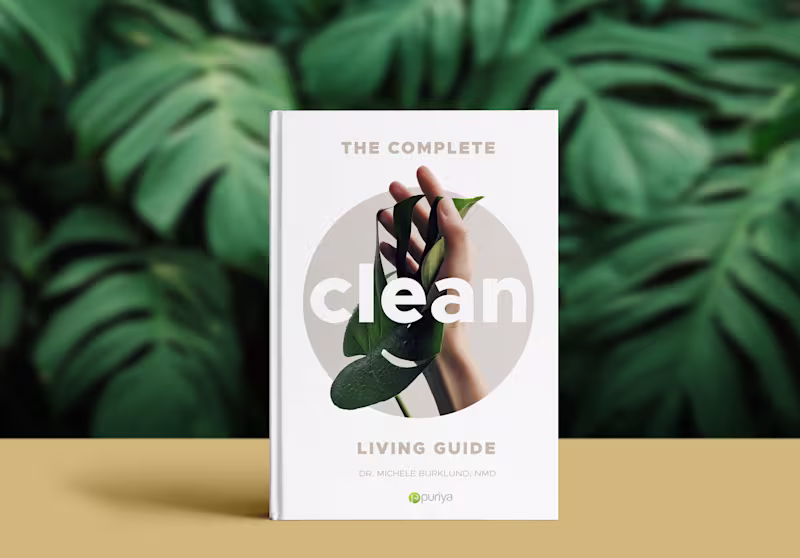 Cover image for Clean Living Guide