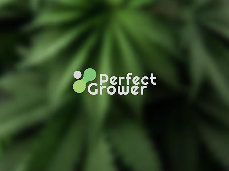 Cover image for Logo & Brand Identity Design