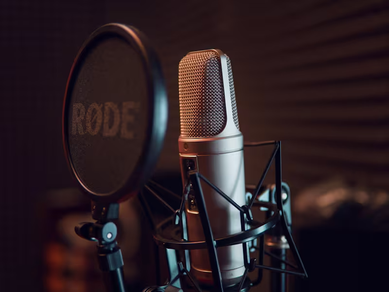 Cover image for Professional voice acting