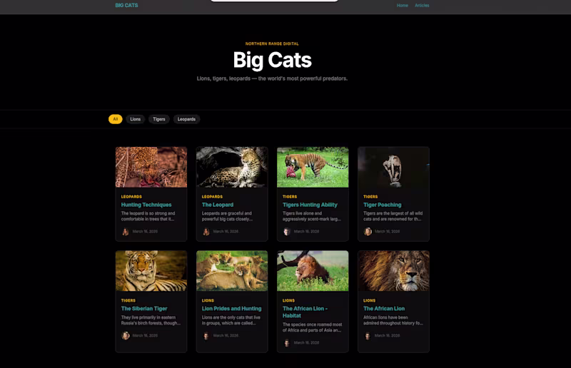Cover image for This is a Big Cats