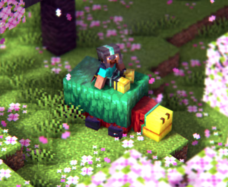 Cover image for a photo for my client who loved the game