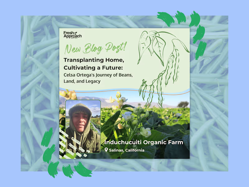 Cover image for 🫛Transplanting Home, Cultivating a Future | Blog & Interview
