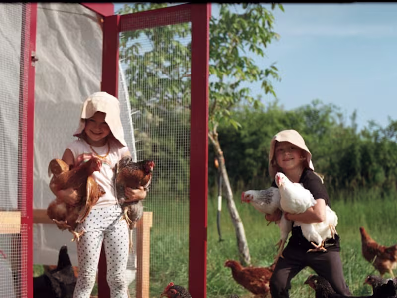 Cover image for A summer on the farm,