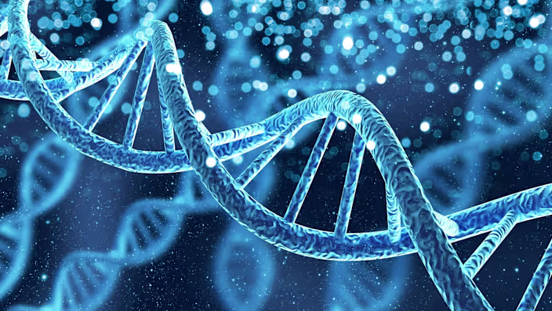 Cover image for Winter Leaves Traces in Our DNA