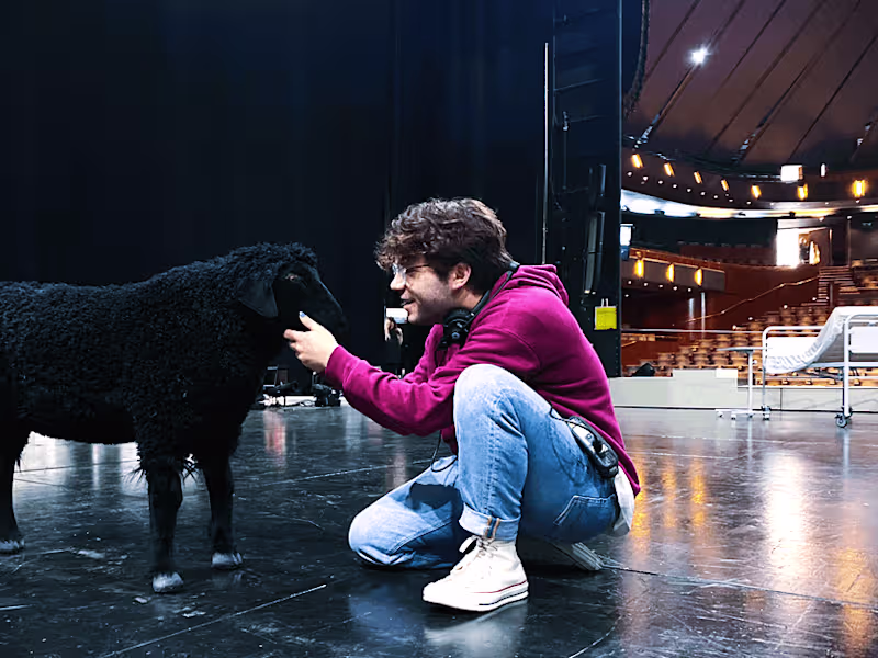 Cover image for THE ISRAELI OPERA (Assistant Director)