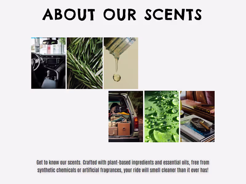 Cover image for All-Natural Air Diffusers Product Asset