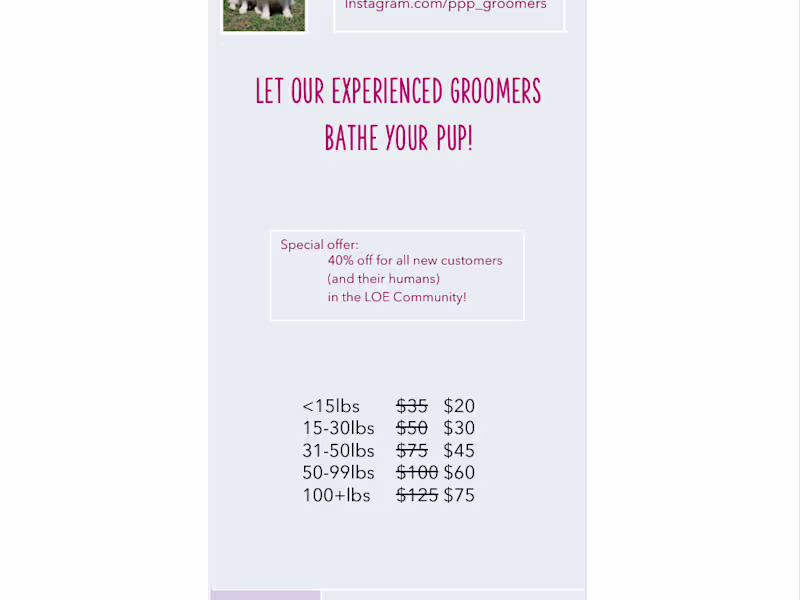 Cover image for Summer Sale Print Set – Local & Regional Pet Grooming Campaign