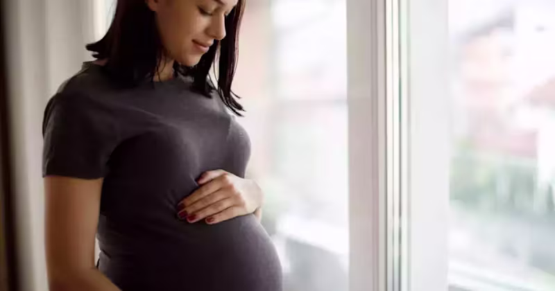 Cover image for which food for healthy in pregnant woman