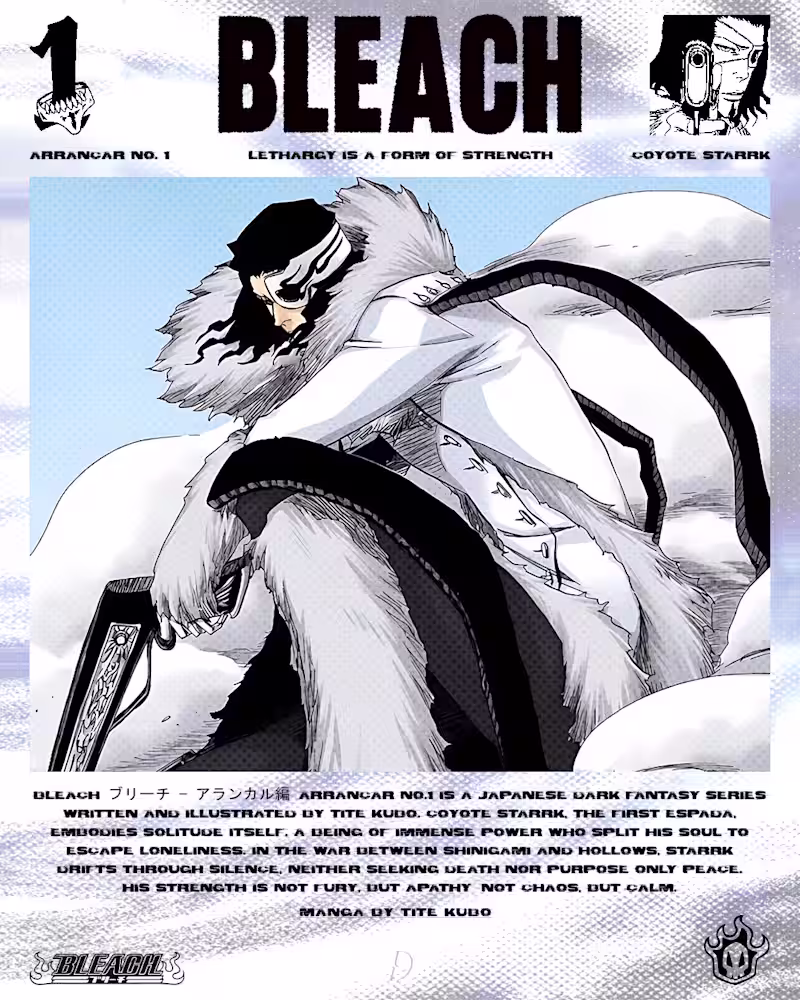Cover image for My Bleach Anime Poster Collection