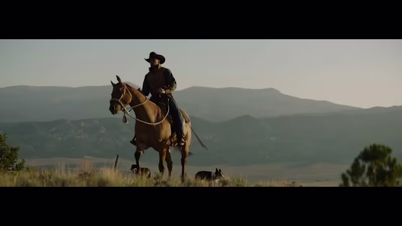 Cover image for Skyrider Ranch - Loyal To The Wild - YouTube