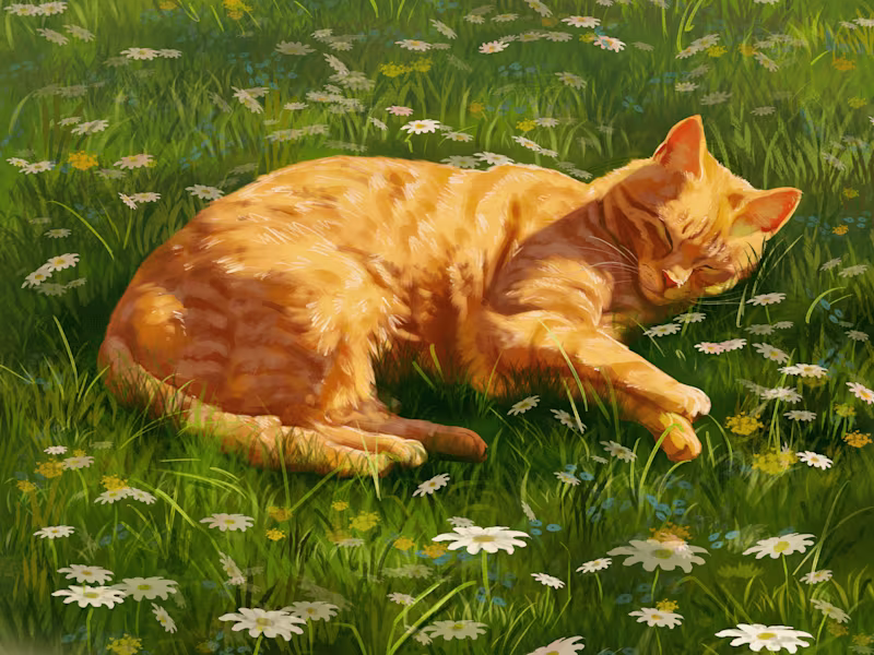 Cover image for Pet Portrait