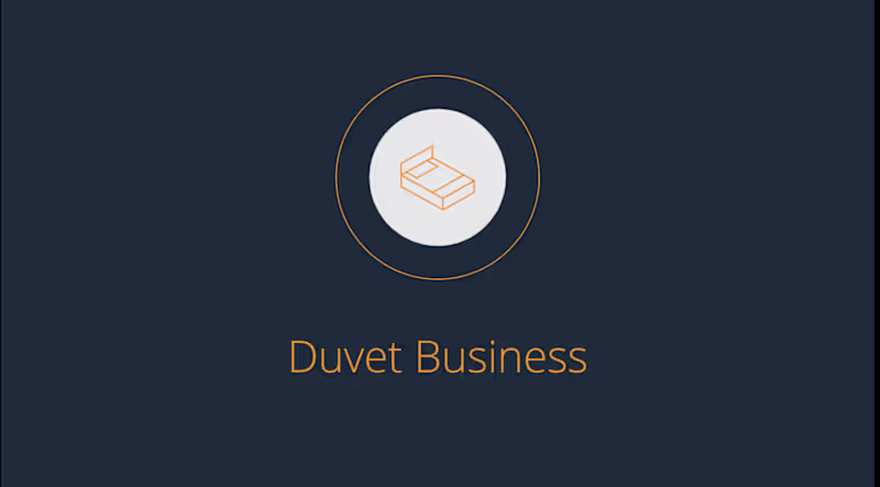 Cover image for Created a professional investor pitch